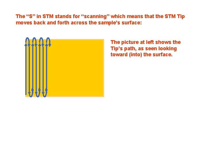 The “S” in STM stands for “scanning” which means that the STM Tip moves The “S” in STM stands for “scanning” which means that the STM Tip moves