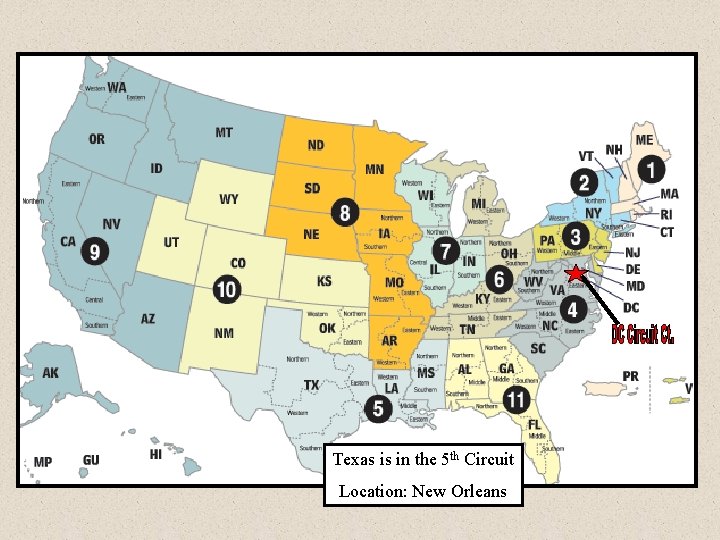 Texas is in the 5 th Circuit Location: New Orleans 