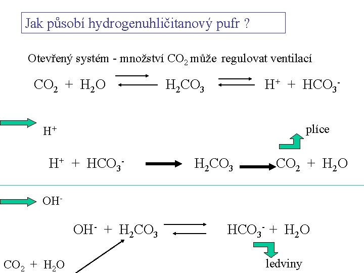 Jak působí hydrogenuhličitanový pufr ? Otevřený systém - množství CO 2 může regulovat ventilací