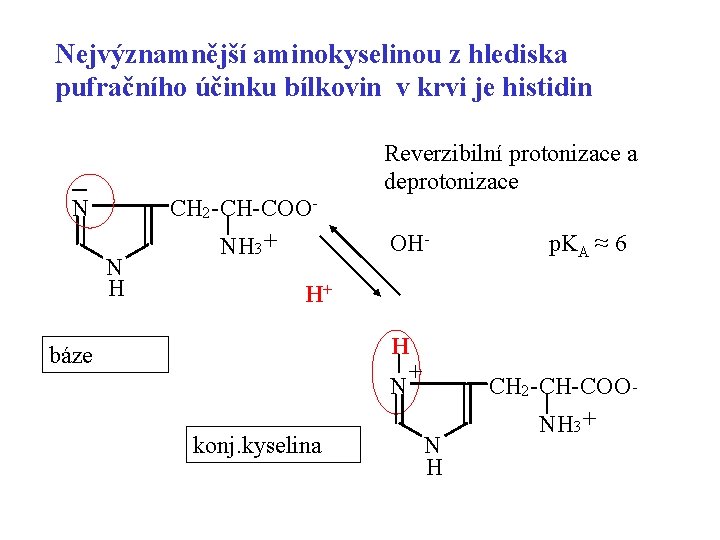 Nejvýznamnější aminokyselinou z hlediska pufračního účinku bílkovin v krvi je histidin N N H