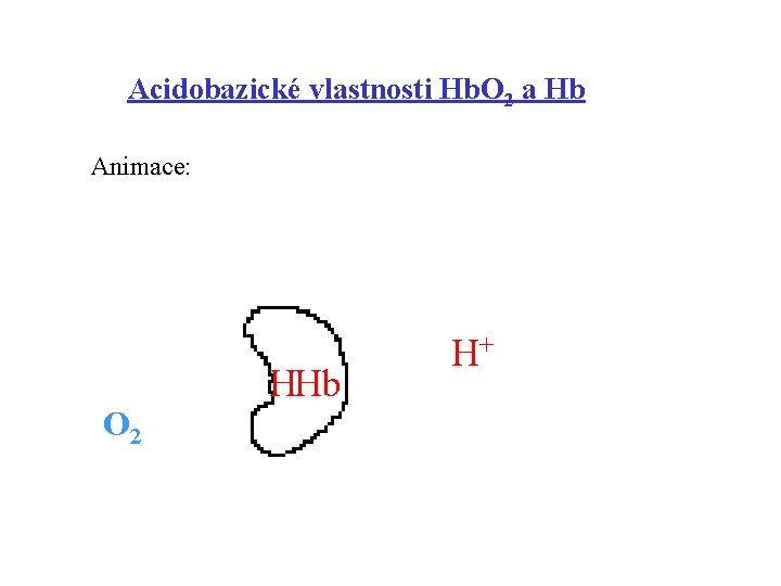 Acidobazické vlastnosti Hb. O 2 a Hb Animace: O 2 HHb H+ 