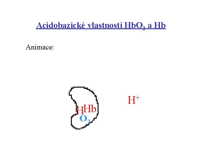 Acidobazické vlastnosti Hb. O 2 a Hb Animace: HHb O 2 H+ 