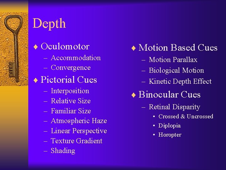 Depth ¨ Oculomotor – Accommodation – Convergence ¨ Pictorial Cues – – – –