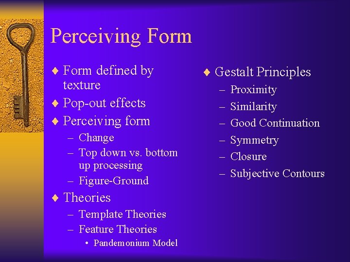 Perceiving Form ¨ Form defined by texture ¨ Pop-out effects ¨ Perceiving form –