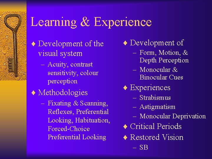 Learning & Experience ¨ Development of the visual system – Acuity, contrast sensitivity, colour