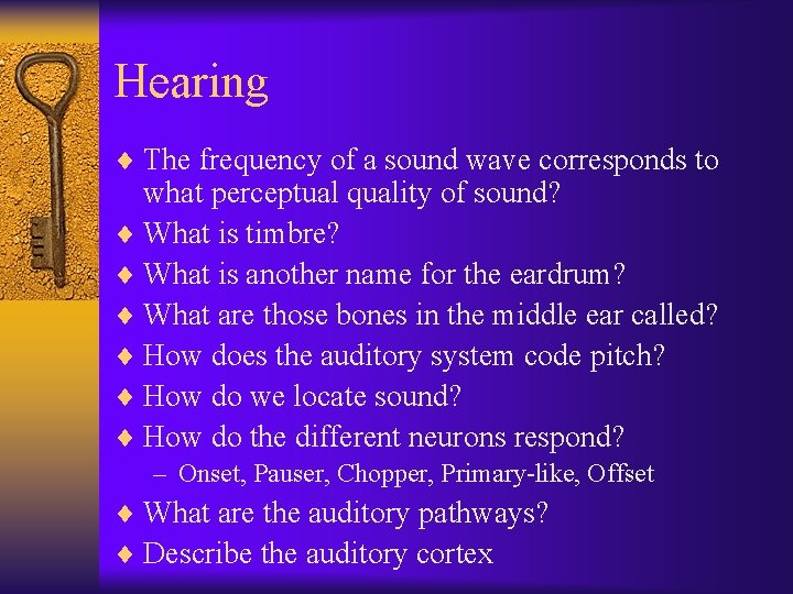 Hearing ¨ The frequency of a sound wave corresponds to what perceptual quality of