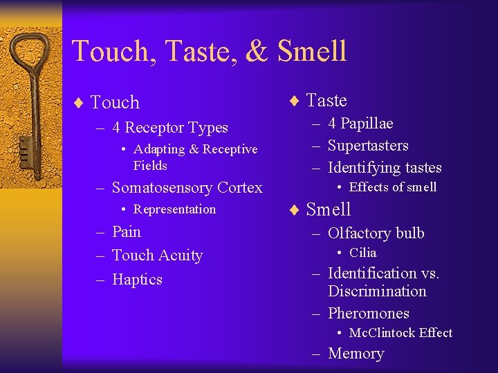 Touch, Taste, & Smell ¨ Touch – 4 Receptor Types • Adapting & Receptive