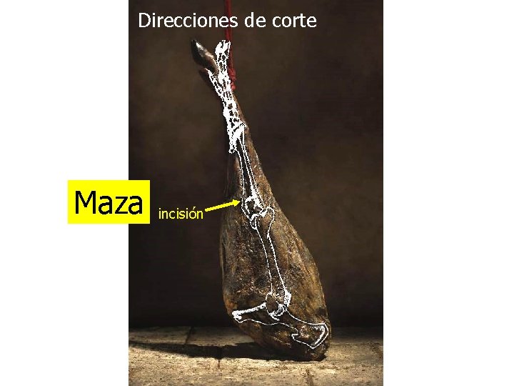 Direcciones de corte Maza incisión 