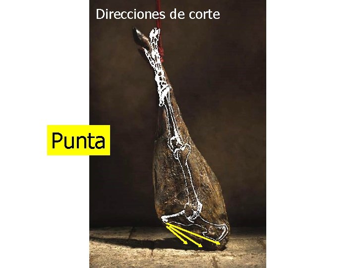 Direcciones de corte Punta 