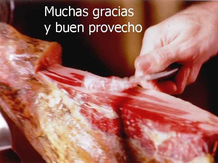 Muchas gracias y buen provecho 