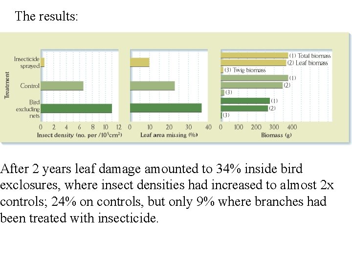 The results: After 2 years leaf damage amounted to 34% inside bird exclosures, where