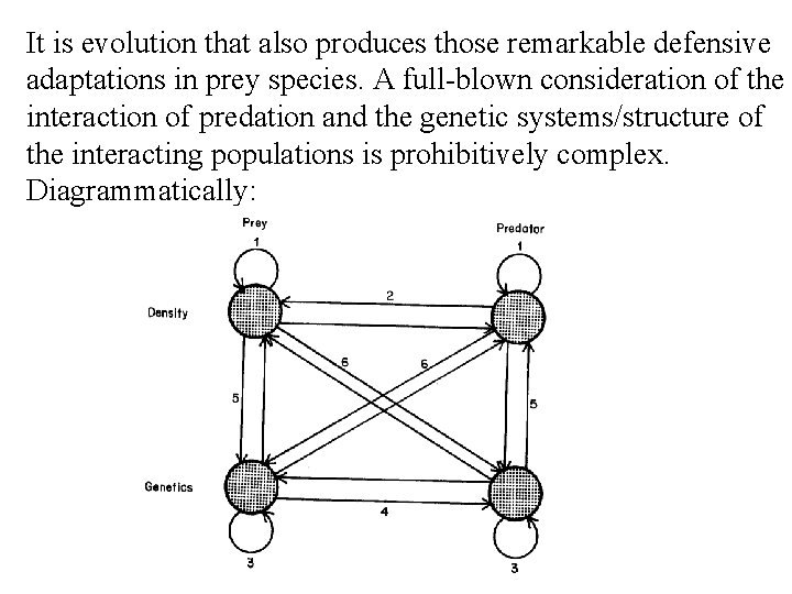 It is evolution that also produces those remarkable defensive adaptations in prey species. A