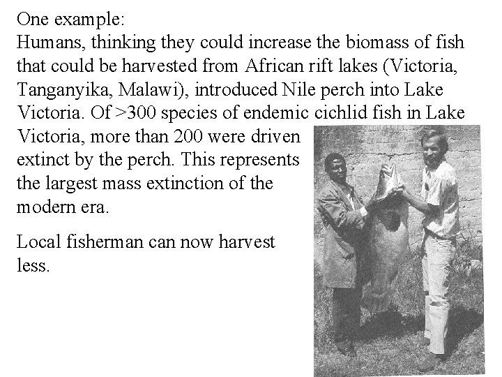 One example: Humans, thinking they could increase the biomass of fish that could be