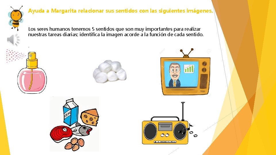 Ayuda a Margarita relacionar sus sentidos con las siguientes imágenes. Los seres humanos tenemos