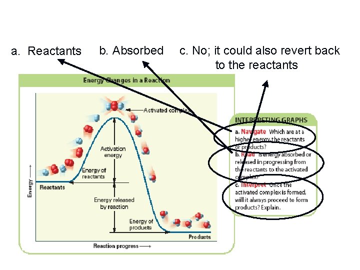 - Page 534 a. Reactants b. Absorbed c. No; it could also revert back