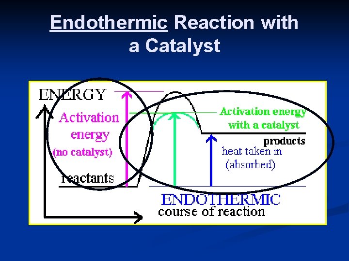 Endothermic Reaction with a Catalyst 