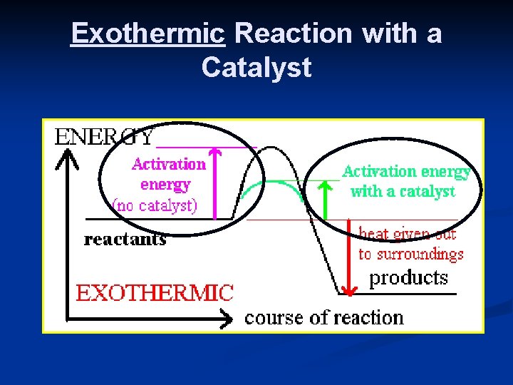 Exothermic Reaction with a Catalyst 