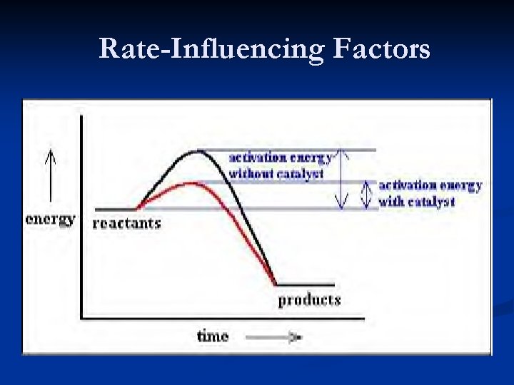 Rate-Influencing Factors 