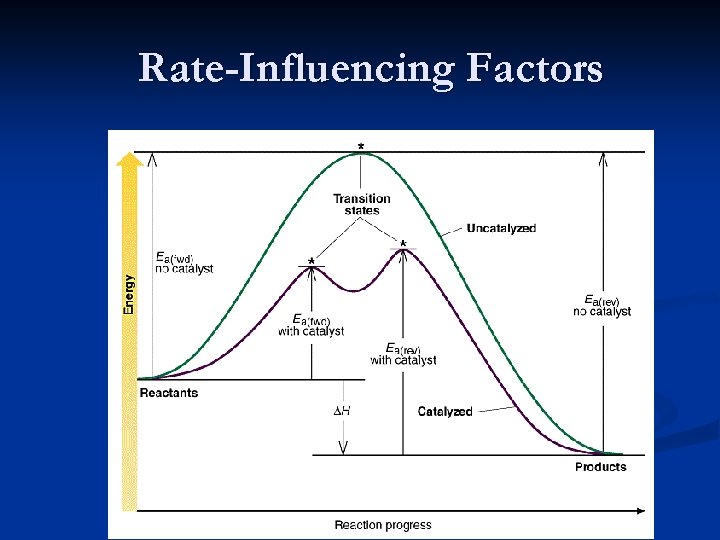 Rate-Influencing Factors 