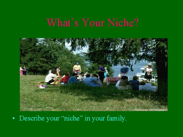 What’s Your Niche? • Describe your “niche” in your family. 