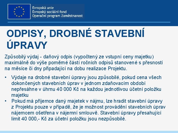 ODPISY, DROBNÉ STAVEBNÍ ÚPRAVY Způsobilý výdaj - daňový odpis (vypočtený ze vstupní ceny majetku)