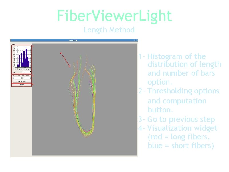 Fiber. Viewer. Light Length Method 1 - Histogram of the distribution of length and