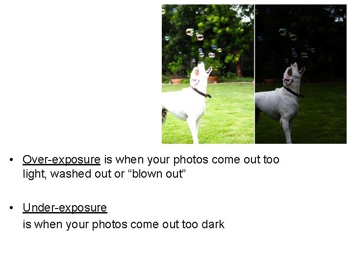  • Over-exposure is when your photos come out too light, washed out or