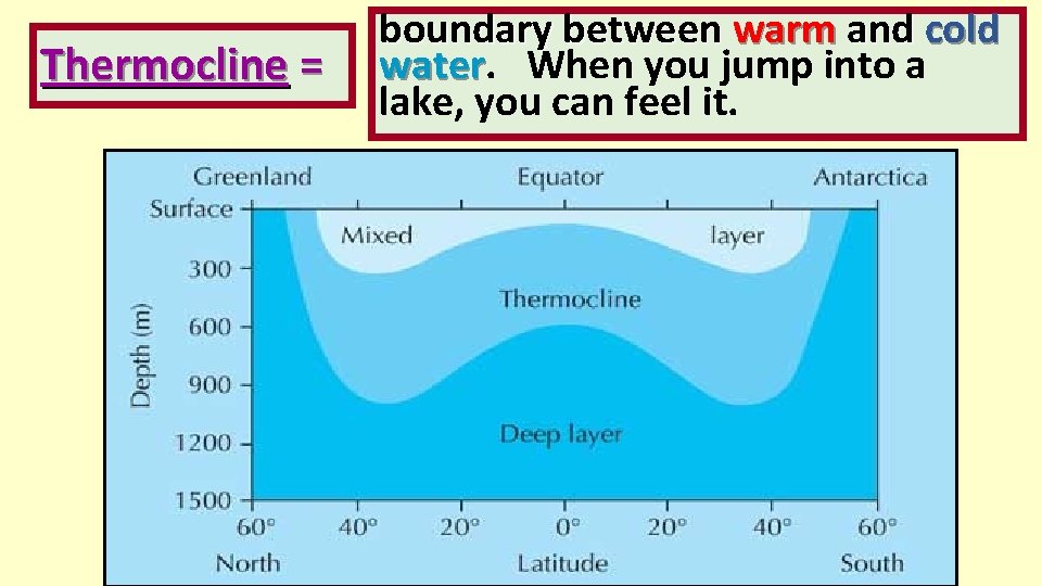 Thermocline = boundary between warm and cold water When you jump into a lake,