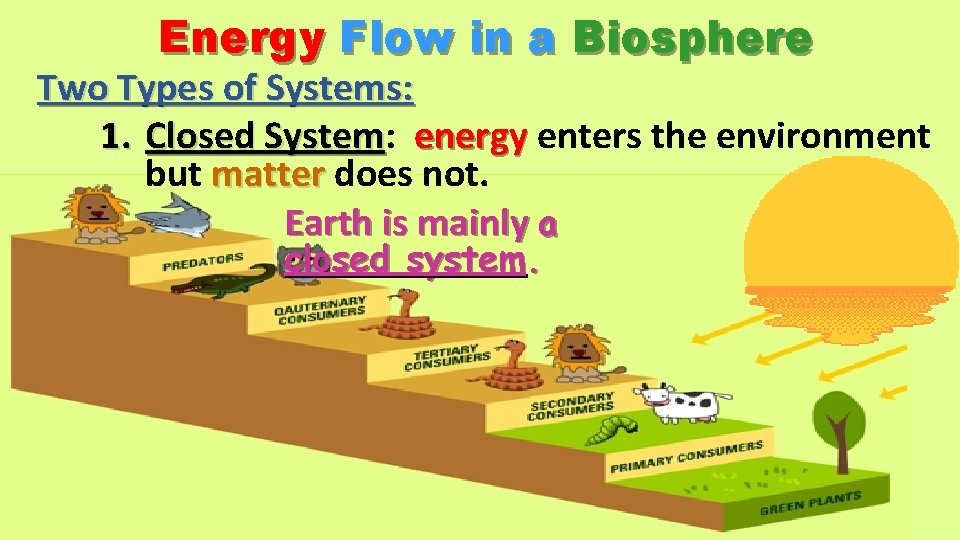 Energy Flow in a Biosphere Two Types of Systems: 1. Closed System: System energy