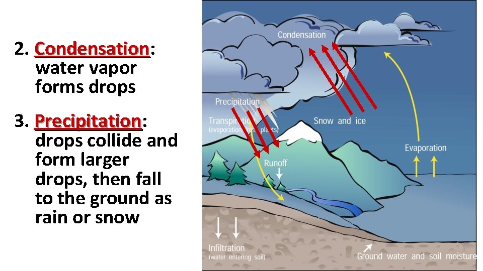 2. Condensation: Condensation water vapor forms drops 3. Precipitation: Precipitation drops collide and form