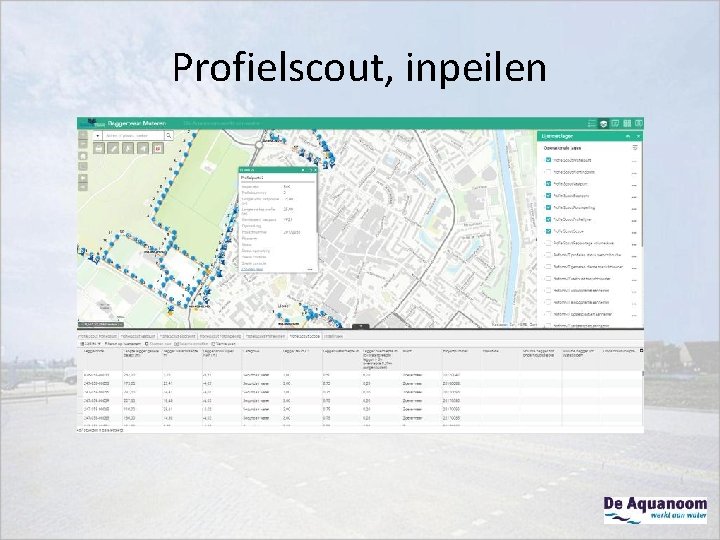 Profielscout, inpeilen 