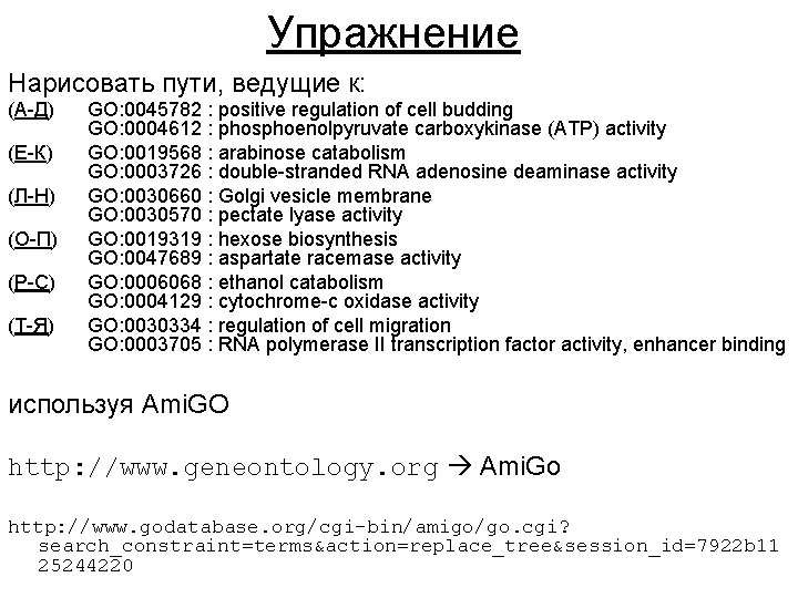 Упражнение Нарисовать пути, ведущие к: (А-Д) (Е-К) (Л-Н) (О-П) (Р-С) (Т-Я) GO: 0045782 :