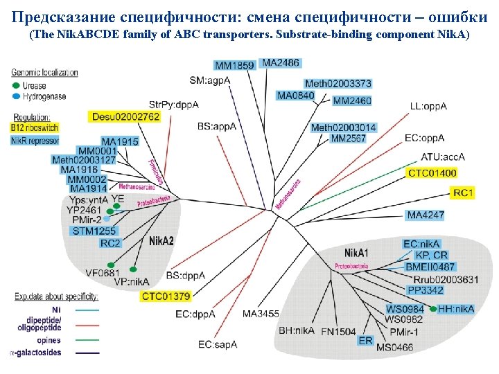 Предсказание специфичности: смена специфичности – ошибки (The Nik. ABCDE family of ABC transporters. Substrate-binding