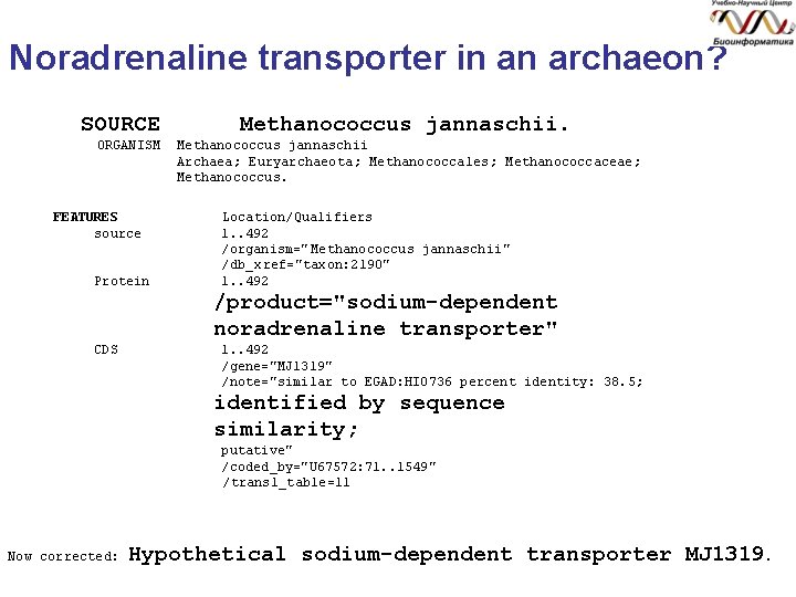 Noradrenaline transporter in an archaeon? SOURCE ORGANISM FEATURES source Protein Methanococcus jannaschii Archaea; Euryarchaeota;