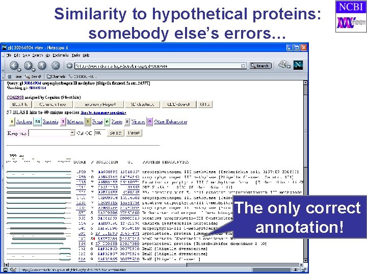 Similarity to hypothetical proteins: somebody else’s errors… The only correct annotation! 