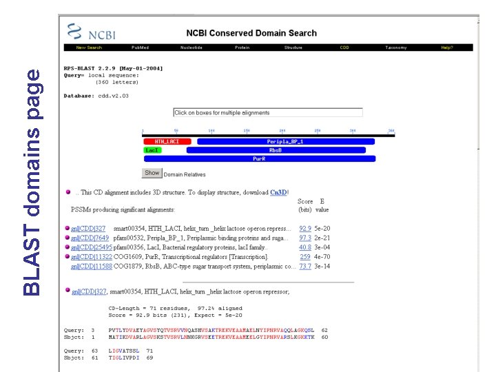 BLAST domains page 