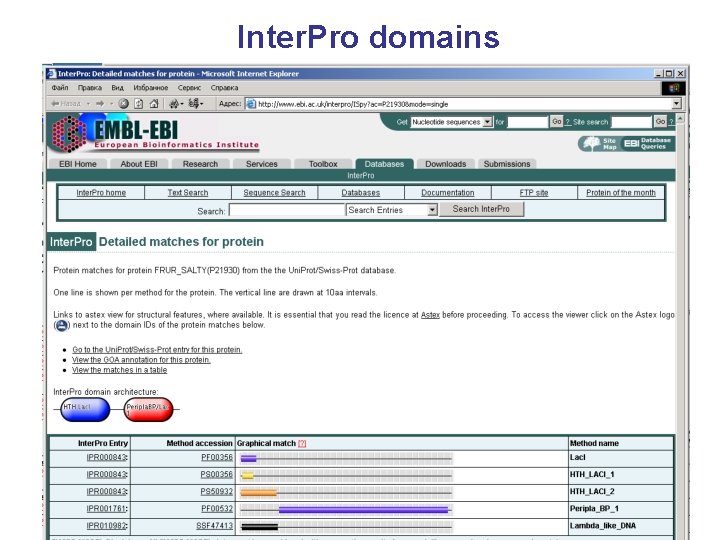 Inter. Pro domains 