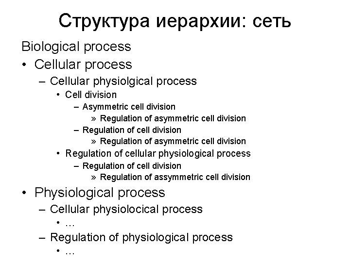 Структура иерархии: сеть Biological process • Cellular process – Cellular physiolgical process • Cell