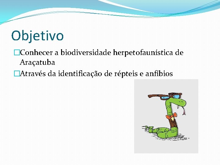 Objetivo �Conhecer a biodiversidade herpetofaunística de Araçatuba �Através da identificação de répteis e anfíbios