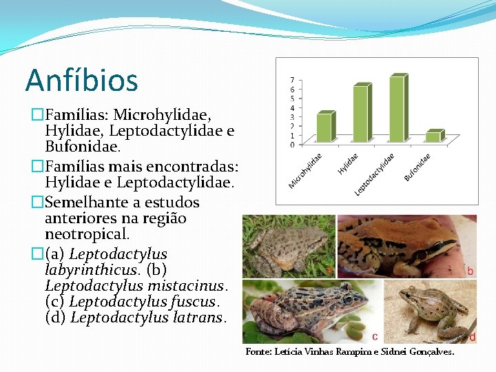 Anfíbios �Famílias: Microhylidae, Hylidae, Leptodactylidae e Bufonidae. �Famílias mais encontradas: Hylidae e Leptodactylidae. �Semelhante