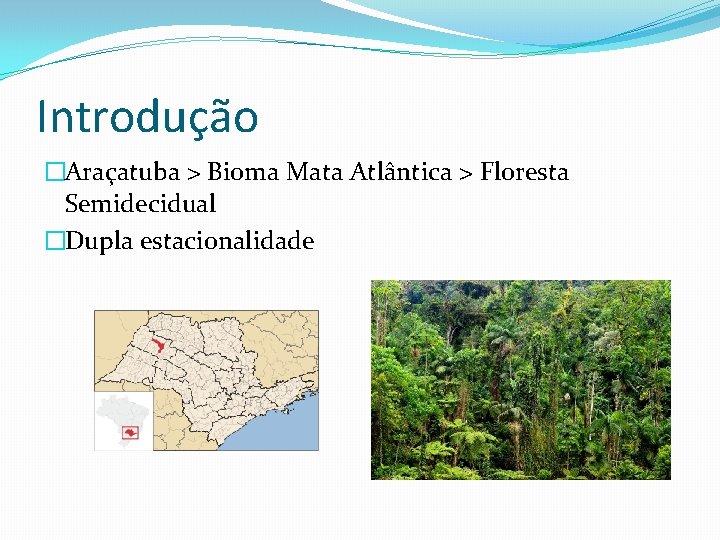 Introdução �Araçatuba > Bioma Mata Atlântica > Floresta Semidecidual �Dupla estacionalidade 