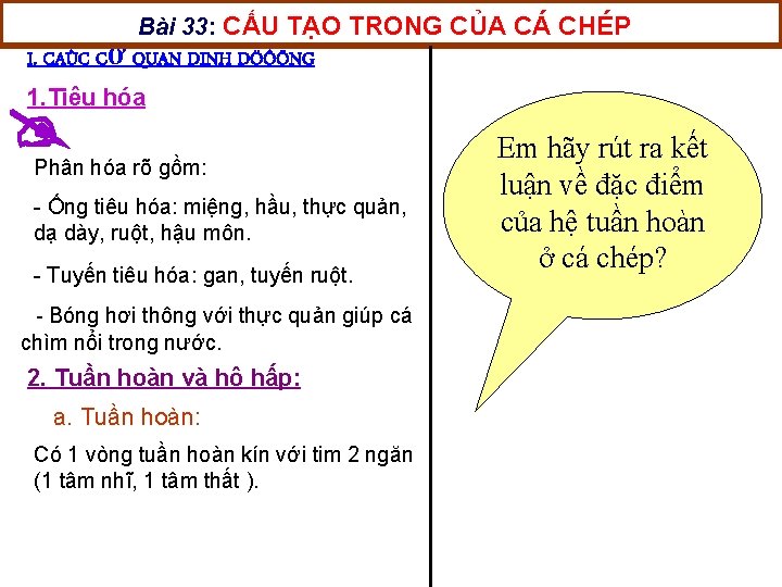 Bài 33: CẤU TẠO TRONG CỦA CÁ CHÉP I. CAÙC CƠ QUAN DINH DÖÔÕNG