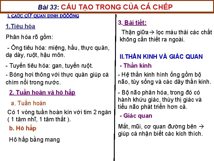 Bài 33: CẤU TẠO TRONG CỦA CÁ CHÉP I. CAÙC CƠ QUAN DINH DÖÔÕNG