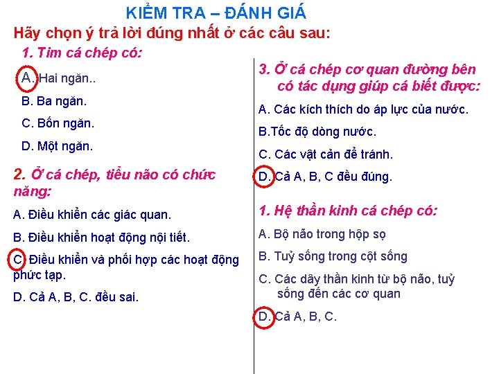 KIỂM TRA – ĐÁNH GIÁ Hãy chọn ý trả lời đúng nhất ở các