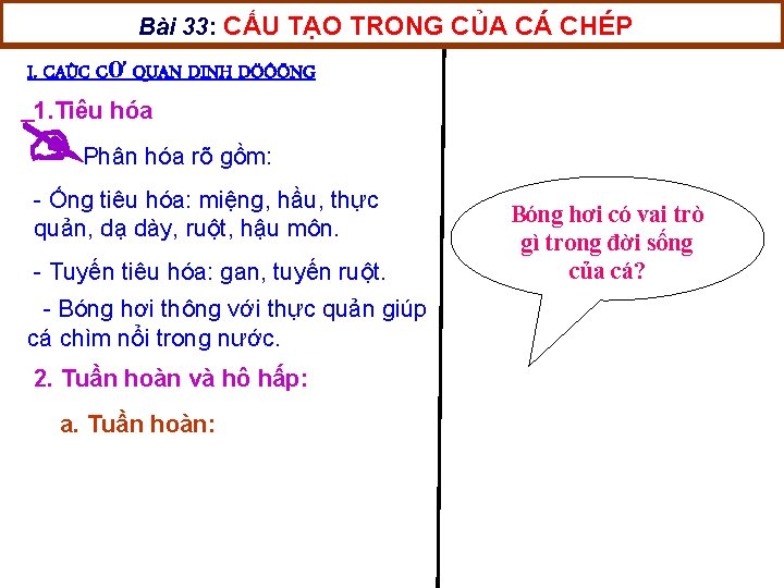 Bài 33: CẤU TẠO TRONG CỦA CÁ CHÉP I. CAÙC CƠ QUAN DINH DÖÔÕNG