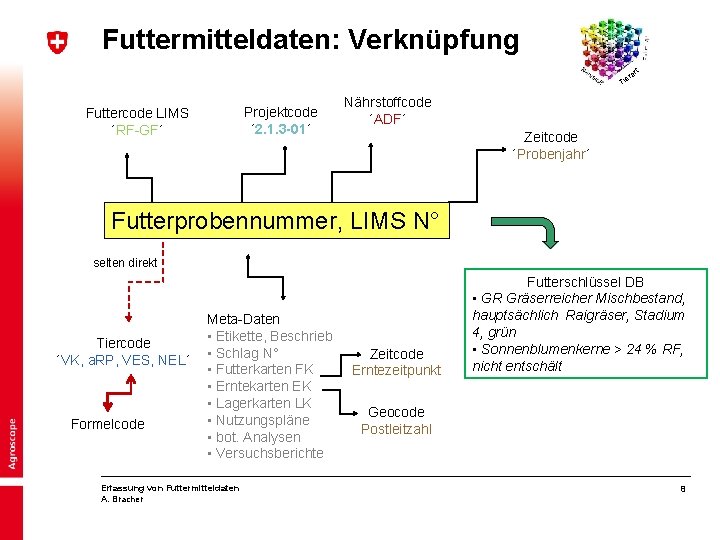 Futtermitteldaten: Verknüpfung rt a er Ti Projektcode ´ 2. 1. 3 -01´ Futtercode LIMS