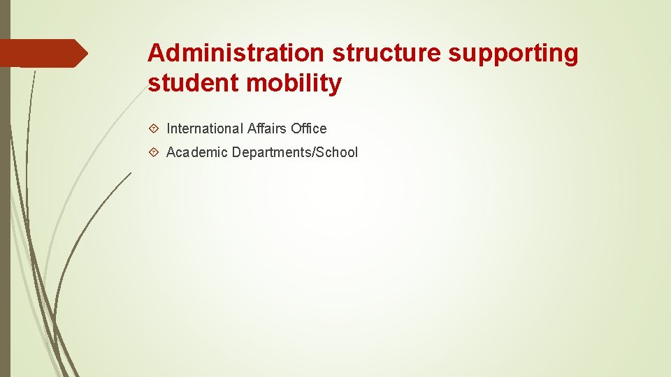 Administration structure supporting student mobility International Affairs Office Academic Departments/School 