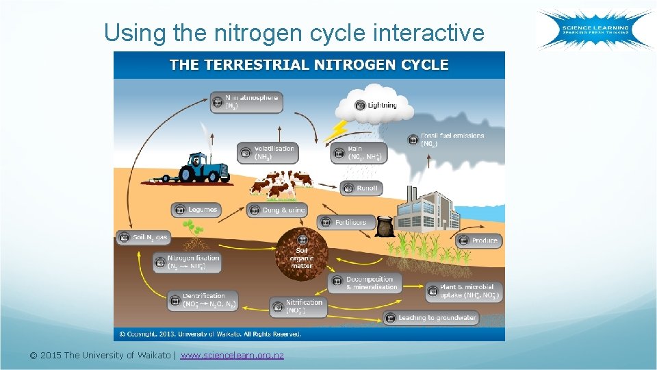 Using the nitrogen cycle interactive http: //sciencelearn. org. nz/Contexts/Soil-Farming-and-Science/Sci-Media/Interactive/The-terrestrial-nitrogen-cycle © 2015 The University of