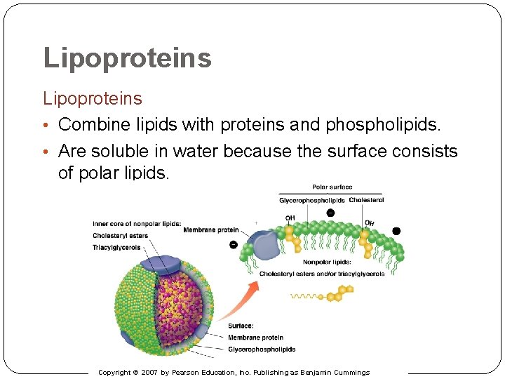 Lipoproteins • Combine lipids with proteins and phospholipids. • Are soluble in water because