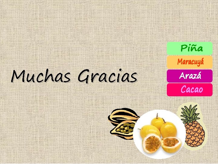 Muchas Gracias 